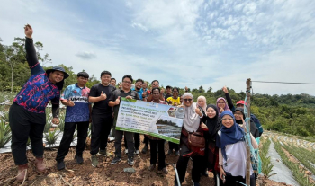 Program PTP: Projek Penanaman Nanas MD2, IPR Basmi Miskin Tegar, Komuniti Orang Asli Kampung Kuin/Lengut